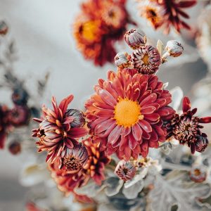 Florale
