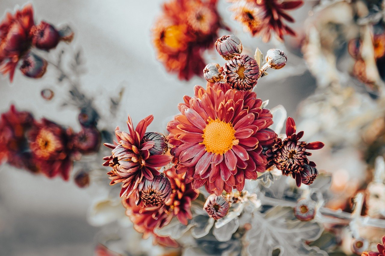 Florale